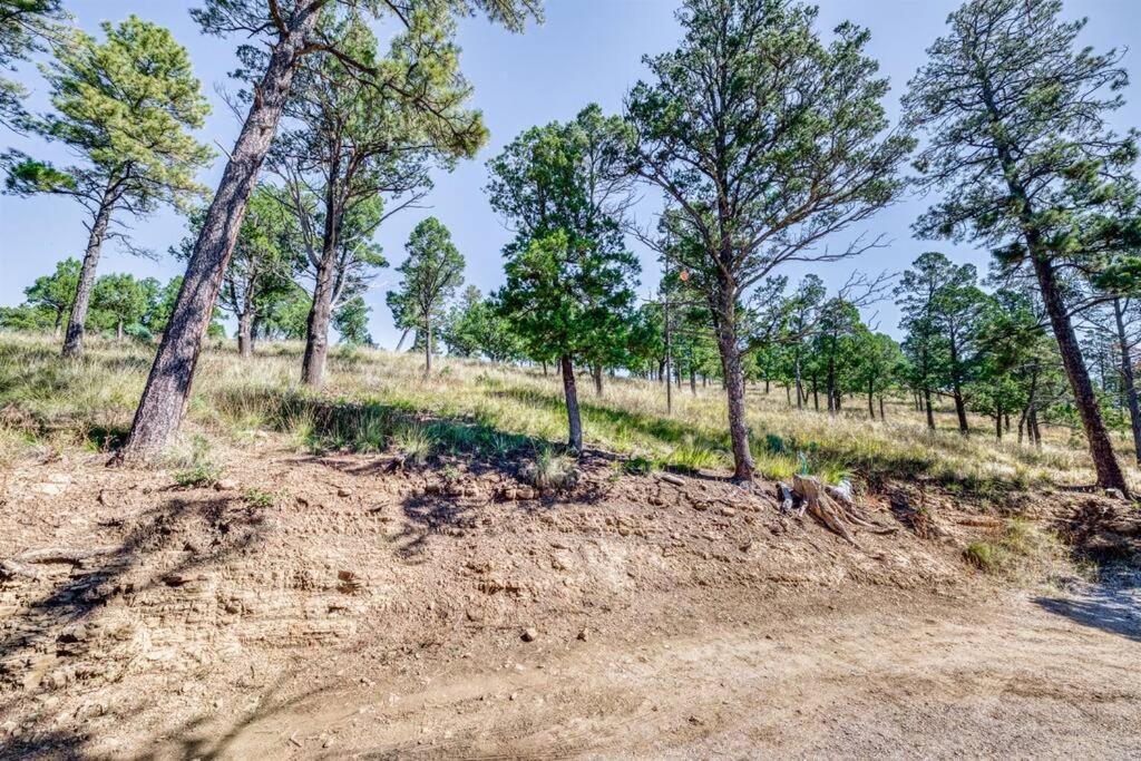 Perk Canyon Hidden Acres-Hot Tub-Gas Fireplace رويدوسو، نيومكسيكو المظهر الخارجي الصورة